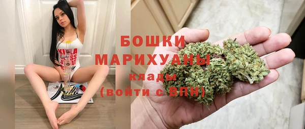 прущие грибы Аркадак