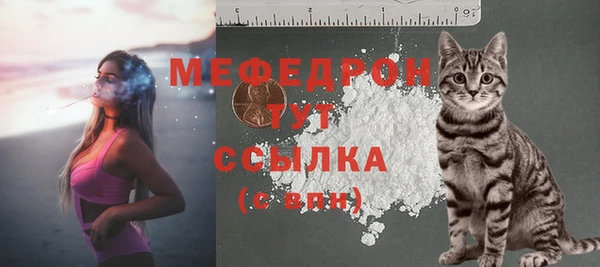 прущие грибы Аркадак