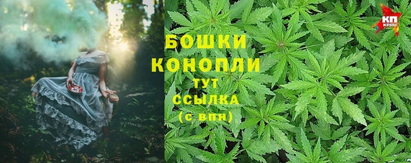 дмт Осташков