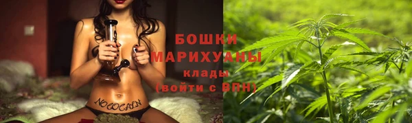 дмт Осташков