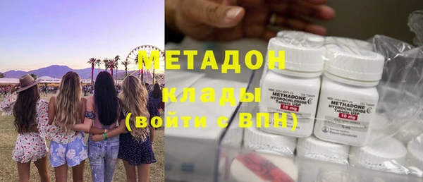 прущие грибы Аркадак