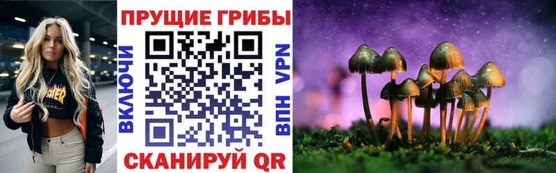 Псилоцибиновые грибы GOLDEN TEACHER  как найти наркотики  Баймак 